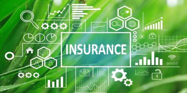 The Importance Of Business Insurance For Small Startups